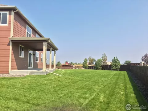 5642 Connor St, Timnath, CO 80547 photo 26