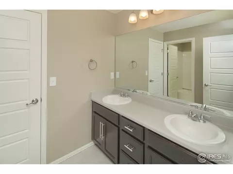 5642 Connor St, Timnath, CO 80547 photo 21