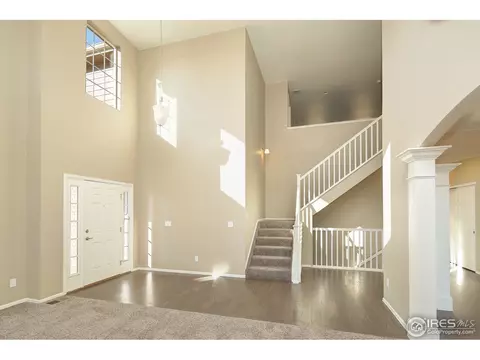 5642 Connor St, Timnath, CO 80547 photo 14