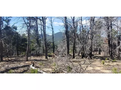 Undisclosed, Fort Garland, CO 81133