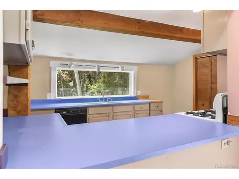 10 Modoc St, Ward, CO 80481 photo 10