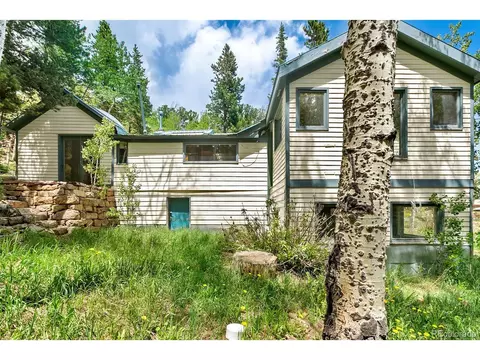 10 Modoc St, Ward, CO 80481 photo 23