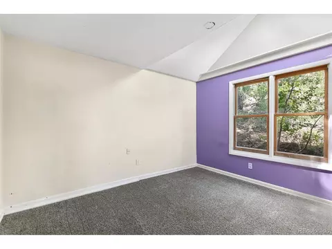 10 Modoc St, Ward, CO 80481 photo 19