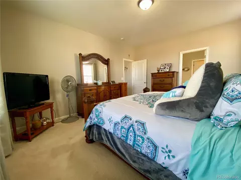 2745 E 159th Way, Thornton, CO 80602 photo 21