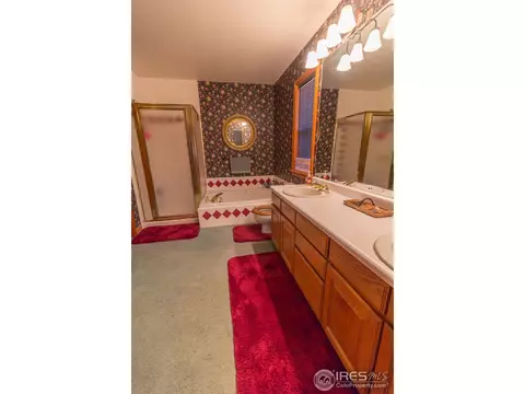 561 Grant Ave, Firestone, CO 80520 photo 14