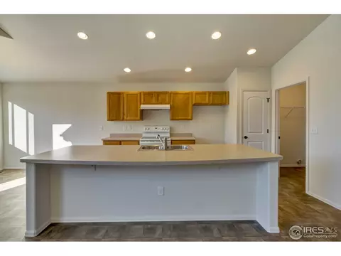 343 Mt Bross Ave, Severance, CO 80550 photo 8