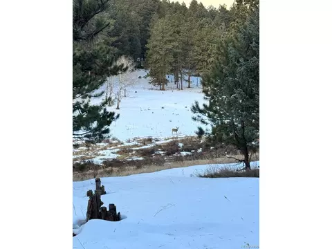 Undisclosed, Conifer, CO 80433 photo 7