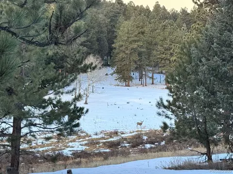 Undisclosed, Conifer, CO 80433 photo 8