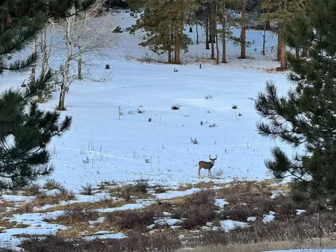 Undisclosed, Conifer, CO 80433 photo 11