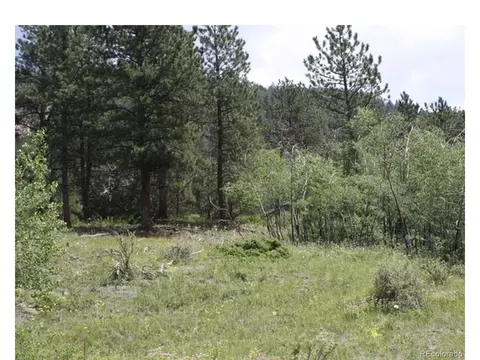 412 W Creek Rd, Glen Haven, CO 80532