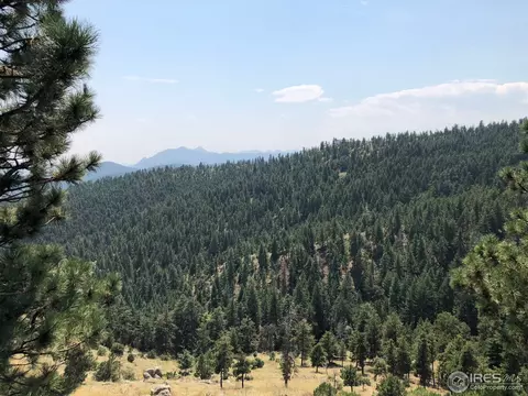 264 Ridgeview Ln, Boulder, CO 80302 photo 24