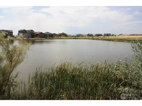 7024 Lightning Ct, Timnath, CO 80547 photo 30