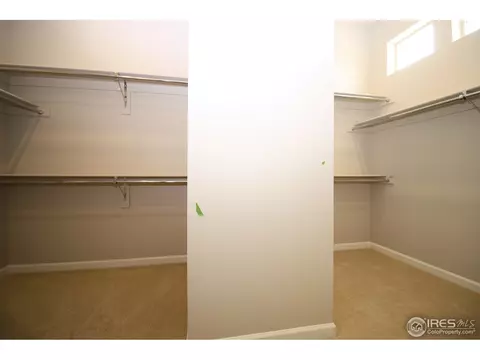 7024 Lightning Ct, Timnath, CO 80547 photo 16