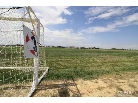 7024 Lightning Ct, Timnath, CO 80547 photo 29