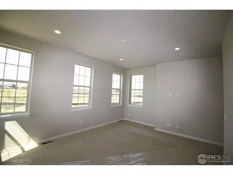 7024 Lightning Ct, Timnath, CO 80547 photo 14