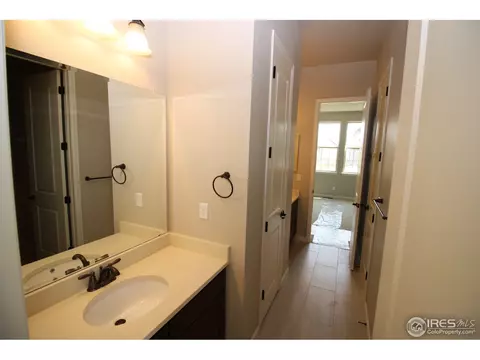 7024 Lightning Ct, Timnath, CO 80547 photo 19