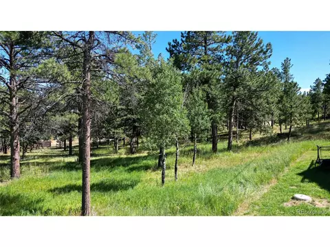 230 Mohawk Trl, Pine, CO 80470 photo 35