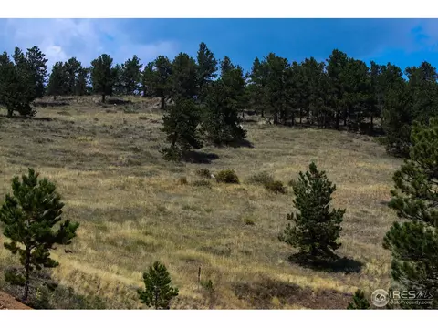 16565 State Highway 7, Lyons, CO 80540 photo 25