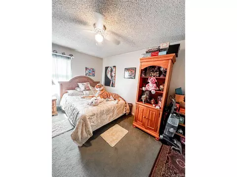 217 S Stanolind Ave, Rangely, CO 81648 photo 10