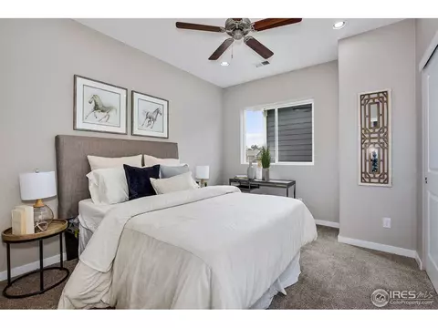 412 Gannet Peak Dr, Windsor, CO 80550 photo 19