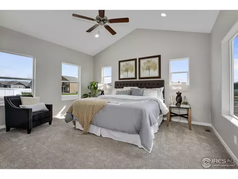 412 Gannet Peak Dr, Windsor, CO 80550 photo 14