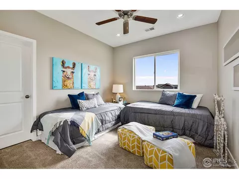 412 Gannet Peak Dr, Windsor, CO 80550 photo 20