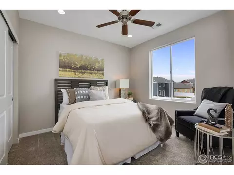412 Gannet Peak Dr, Windsor, CO 80550 photo 21