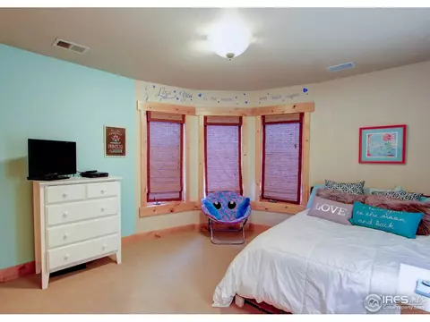 209 Tidewater Dr, Windsor, CO 80550 photo 32