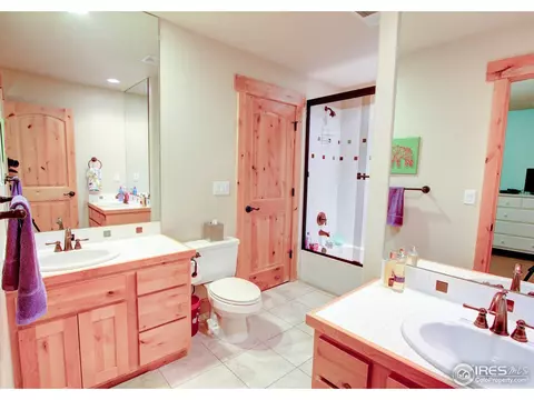 209 Tidewater Dr, Windsor, CO 80550 photo 31