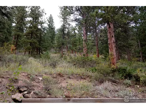 2252 Riverside Dr, Lyons, CO 80540 photo 32