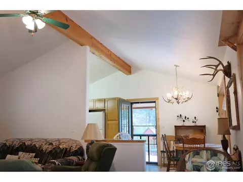 2252 Riverside Dr, Lyons, CO 80540 photo 8