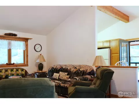 2252 Riverside Dr, Lyons, CO 80540 photo 7