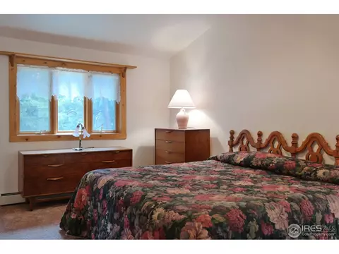 2252 Riverside Dr, Lyons, CO 80540 photo 22
