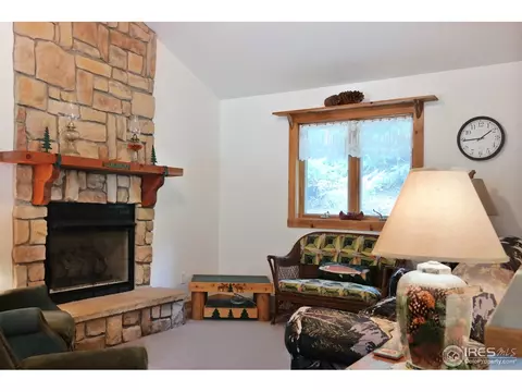 2252 Riverside Dr, Lyons, CO 80540 photo 6