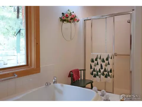 2252 Riverside Dr, Lyons, CO 80540 photo 18