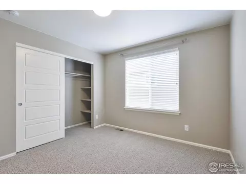 5669 Foxfire St, Timnath, CO 80547 photo 31