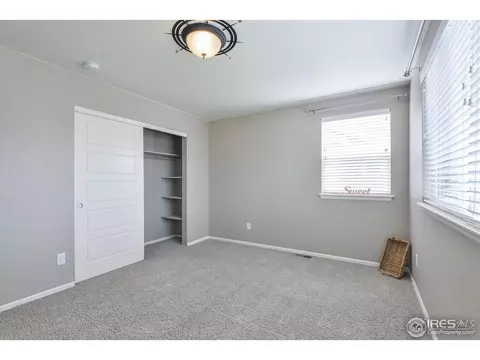 5669 Foxfire St, Timnath, CO 80547 photo 32
