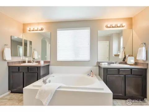 5669 Foxfire St, Timnath, CO 80547 photo 23