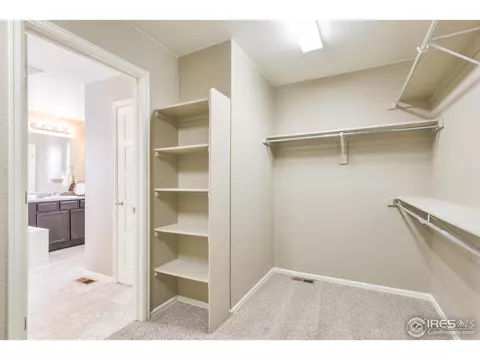 5669 Foxfire St, Timnath, CO 80547 photo 25