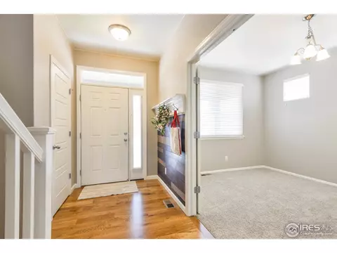 5669 Foxfire St, Timnath, CO 80547 photo 5
