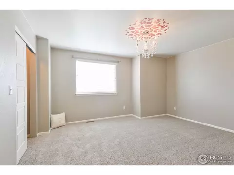 5669 Foxfire St, Timnath, CO 80547 photo 27
