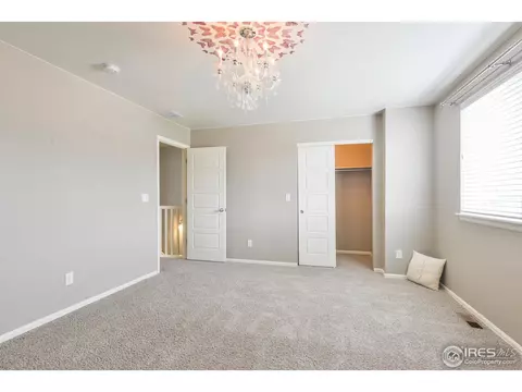5669 Foxfire St, Timnath, CO 80547 photo 26