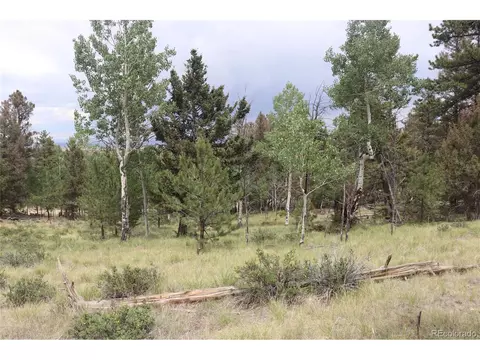1931 Bellows Rd, Hartsel, CO 80449