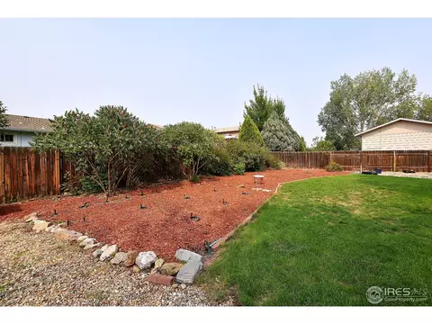 805 Table Mountain Ct, Windsor, CO 80550 photo 20