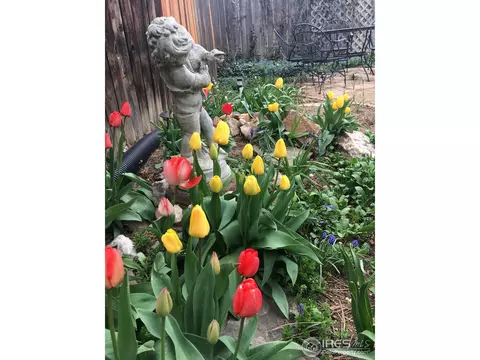 3000 Broadway St #5, Boulder, CO 80304 photo 17