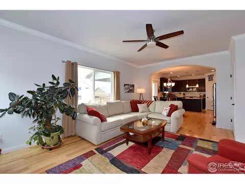 725 Blue Jay Dr, Severance, CO 80550 photo 7