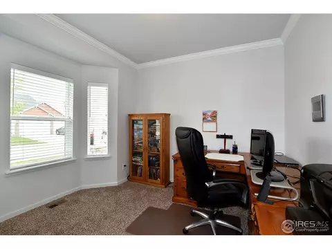725 Blue Jay Dr, Severance, CO 80550 photo 10