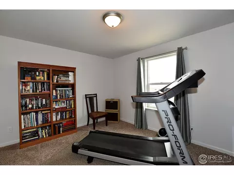 725 Blue Jay Dr, Severance, CO 80550 photo 23