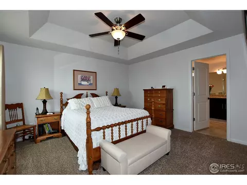 725 Blue Jay Dr, Severance, CO 80550 photo 13