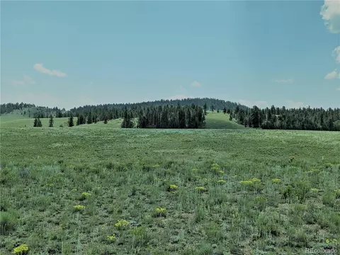 1332 Frees Loop, Hartsel, CO 80449 photo 5